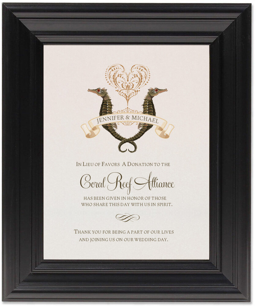 Framed Photograph of Seahorse Love Donation Cards