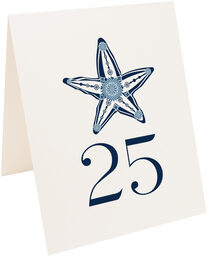 Photograph of Tented Paisley Starfish Table Numbers
