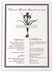 Photograph of Iris Bulb Wedding Menus