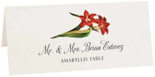 Photograph of Tented Amaryllis Place Cards
