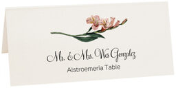 Photograph of Tented Assorted Flowers Place Cards
