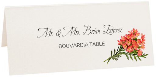 Photograph of Tented Bouvardia Place Cards
