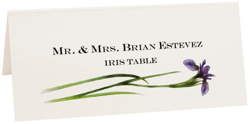 Photograph of Tented Iris Place Cards