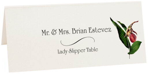Photograph of Tented Lady Slipper Place Cards