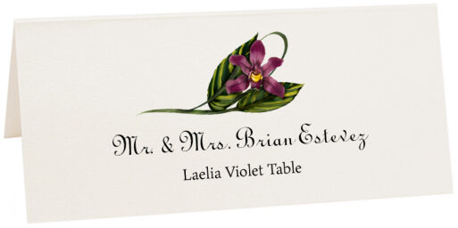 Photograph of Tented Laelia Violet Place Cards