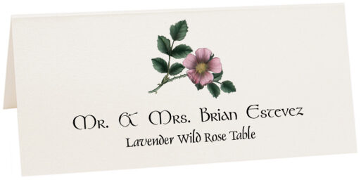 Photograph of Tented Lavender Wild Rose Place Cards
