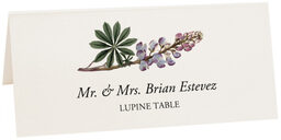 Photograph of Tented Lupine Place Cards