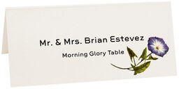 Photograph of Tented Morning Glory Place Cards