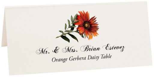 Photograph of Tented Orange Gerbera Daisy Place Cards