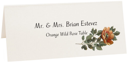 Photograph of Tented Orange Wild Rose Place Cards