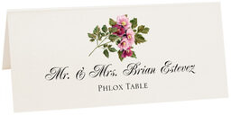 Photograph of Tented Phlox Place Cards