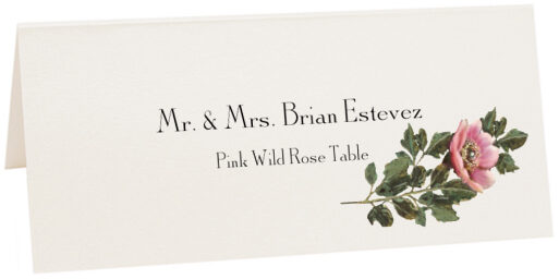 Photograph of Tented Pink Wild Rose Place Cards