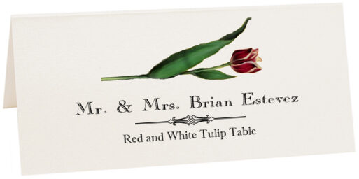 Photograph of Tented Red and White Tulip Place Cards