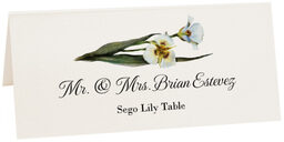 Photograph of Tented Sego Lily Place Cards