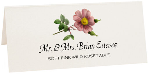 Photograph of Tented Soft Pink Wild Rose Place Cards