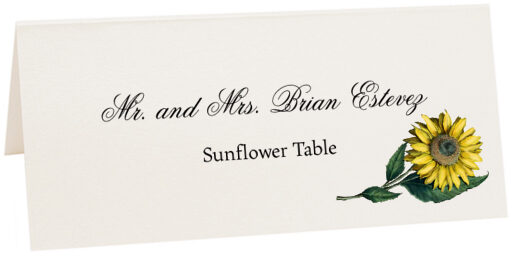 Photograph of Tented Sunflower Place Cards