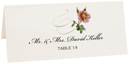 Photograph of Tented Wild Pink Rose Swirl Place Cards