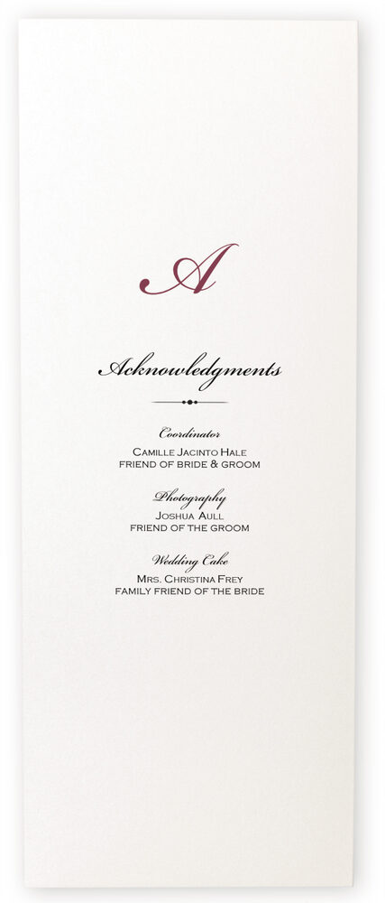 Photograph of Wild Pink Rose Swirl Wedding Programs