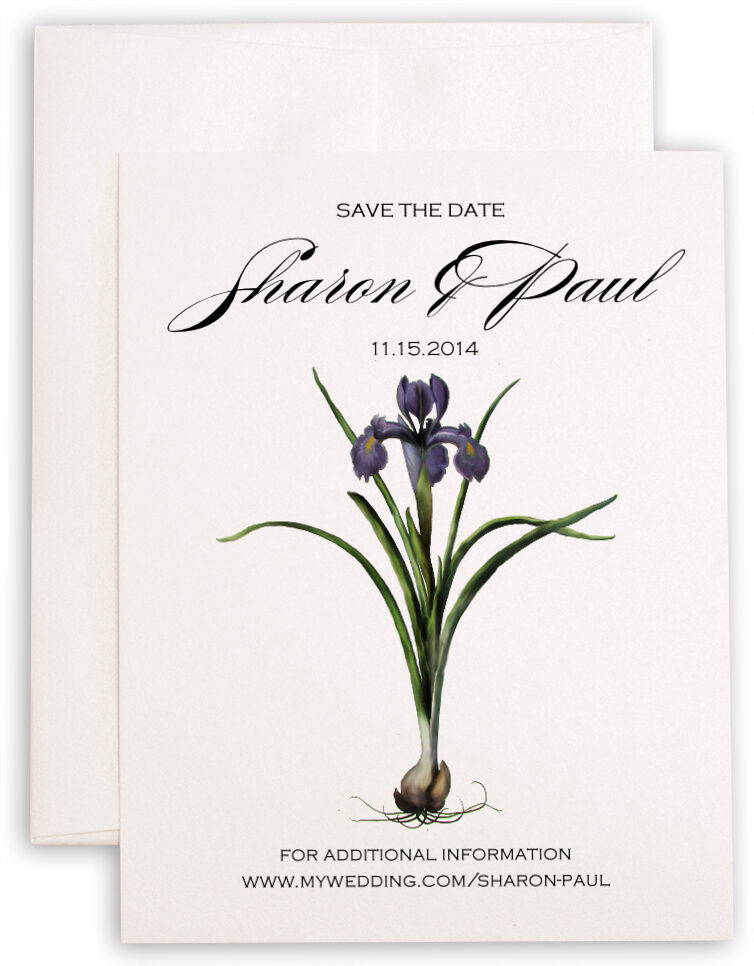 Photograph of Iris Bulb Save the Dates