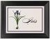 Framed Photograph of Iris Bulb Table Names