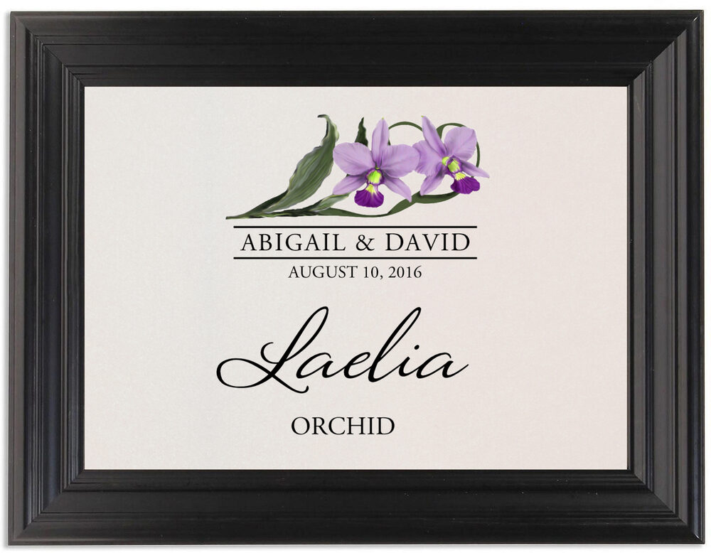 Framed Photograph of Orchid Assortment Table Names