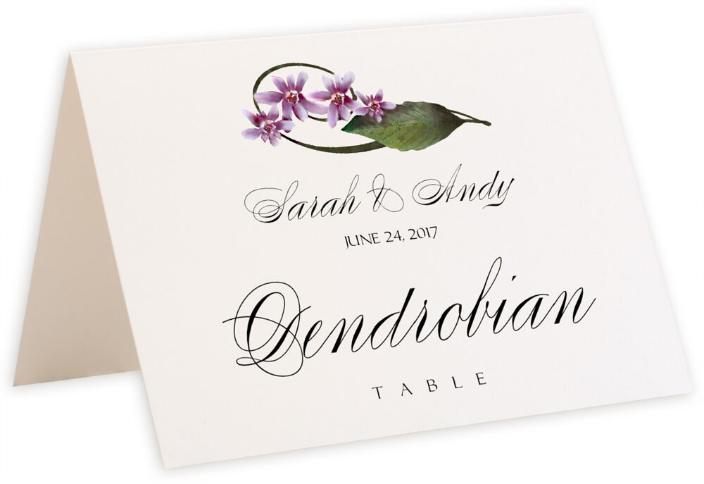 Photograph of Tented Purple Calypso Orchid Table Names