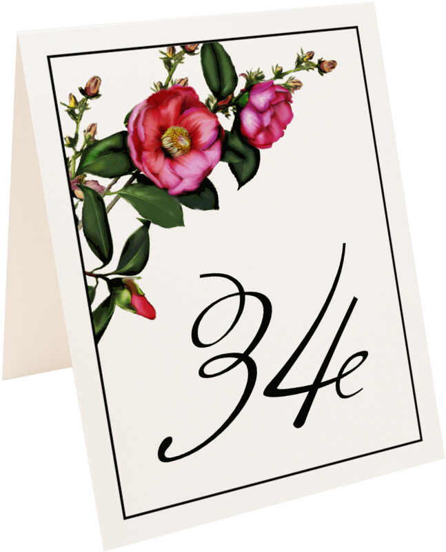 Photograph of Tented Camellia Table Numbers