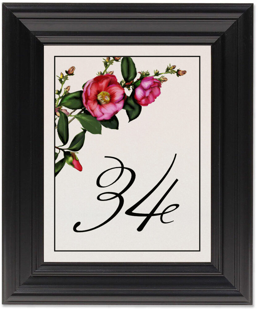 Framed Photograph of Camellia Table Numbers
