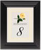 Framed Photograph of Glorie Rose Table Numbers