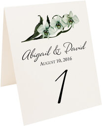 Photograph of Tented Orchid Assortment Table Numbers