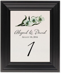 Framed Photograph of Orchid Assortment Table Numbers