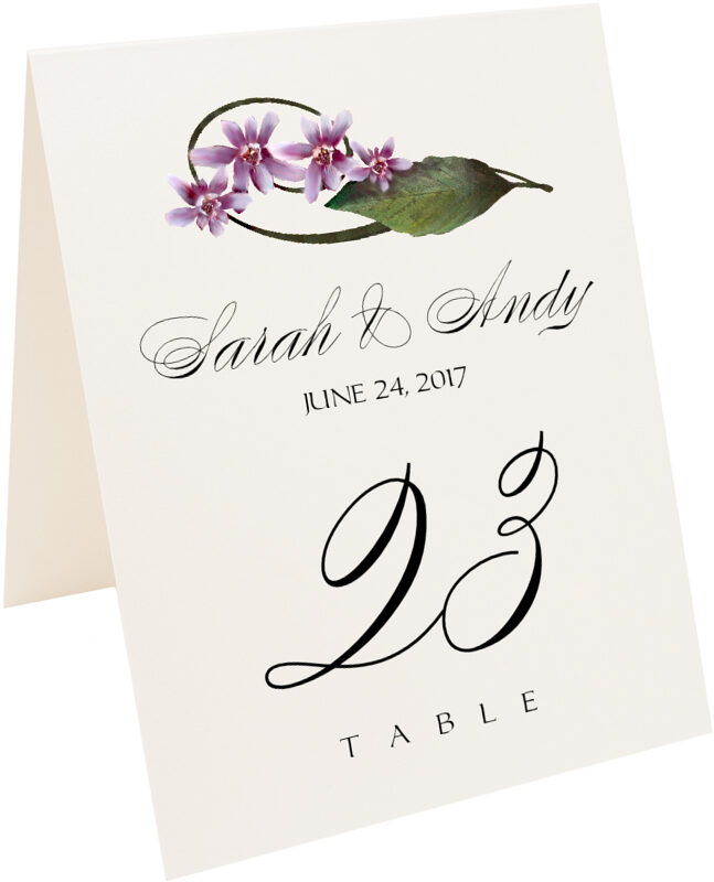 Photograph of Tented Purple Calypso Orchid Table Numbers