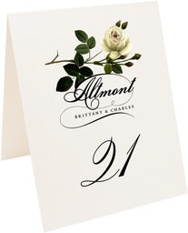 Photograph of Tented Roses Assortment Table Numbers
