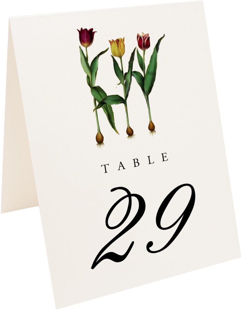 Photograph of Tented Tulip Bulbs Table Numbers