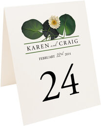 Photograph of Tented Water Lily Patch Table Numbers