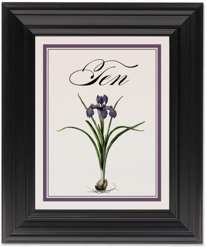 Framed Photograph of Iris Bulb Table Numbers
