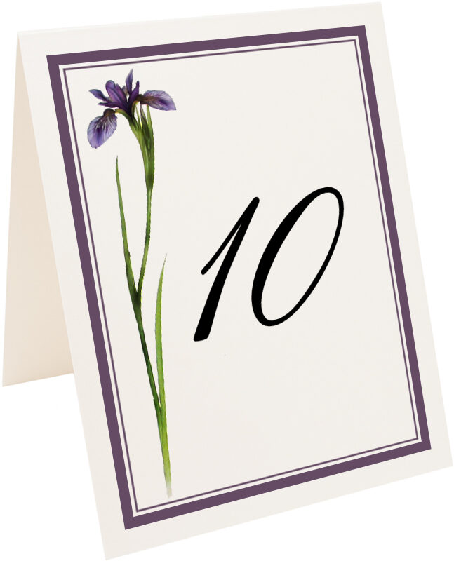 Photograph of Tented Wispy Iris Table Numbers