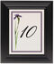 Framed Photograph of Wispy Iris Table Numbers