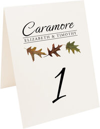 Photograph of Tented Leaf Pattern Assortment Table Numbers