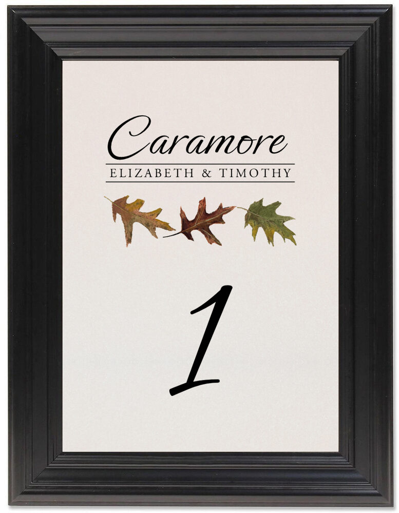 Framed Photograph of Leaf Pattern Assortment Table Numbers
