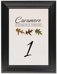 Framed Photograph of Leaf Pattern Assortment Table Numbers