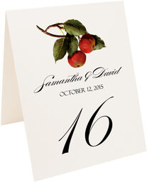 Photograph of Tented Apples Table Numbers