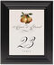 Framed Photograph of Two Pears Table Numbers