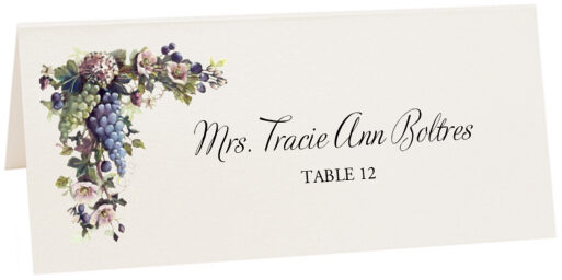 Photograph of Tented Blue and Green Grapes Place Cards