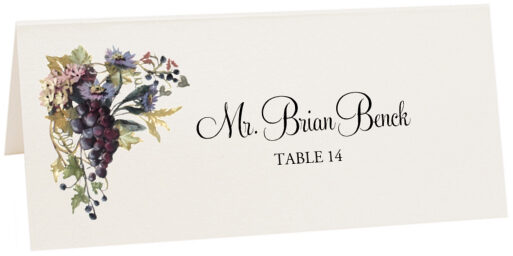 Photograph of Tented Blue Grapes and Chicory 02 Place Cards