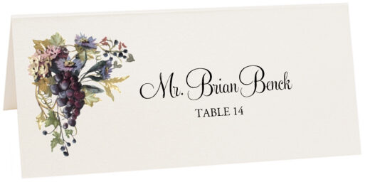 Photograph of Tented Blue Grapes and Chicory 02 Place Cards
