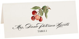 Photograph of Tented Cherries Place Cards