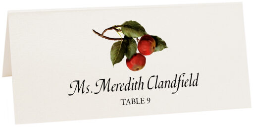 Photograph of Tented Two Apples Place Cards