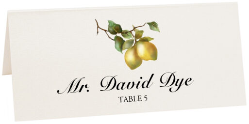 Photograph of Tented Two Lemons Place Cards