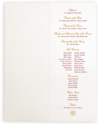 Photograph of Sari Pattern Wedding Programs